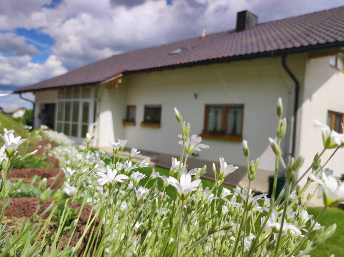 Apartment Edelstein